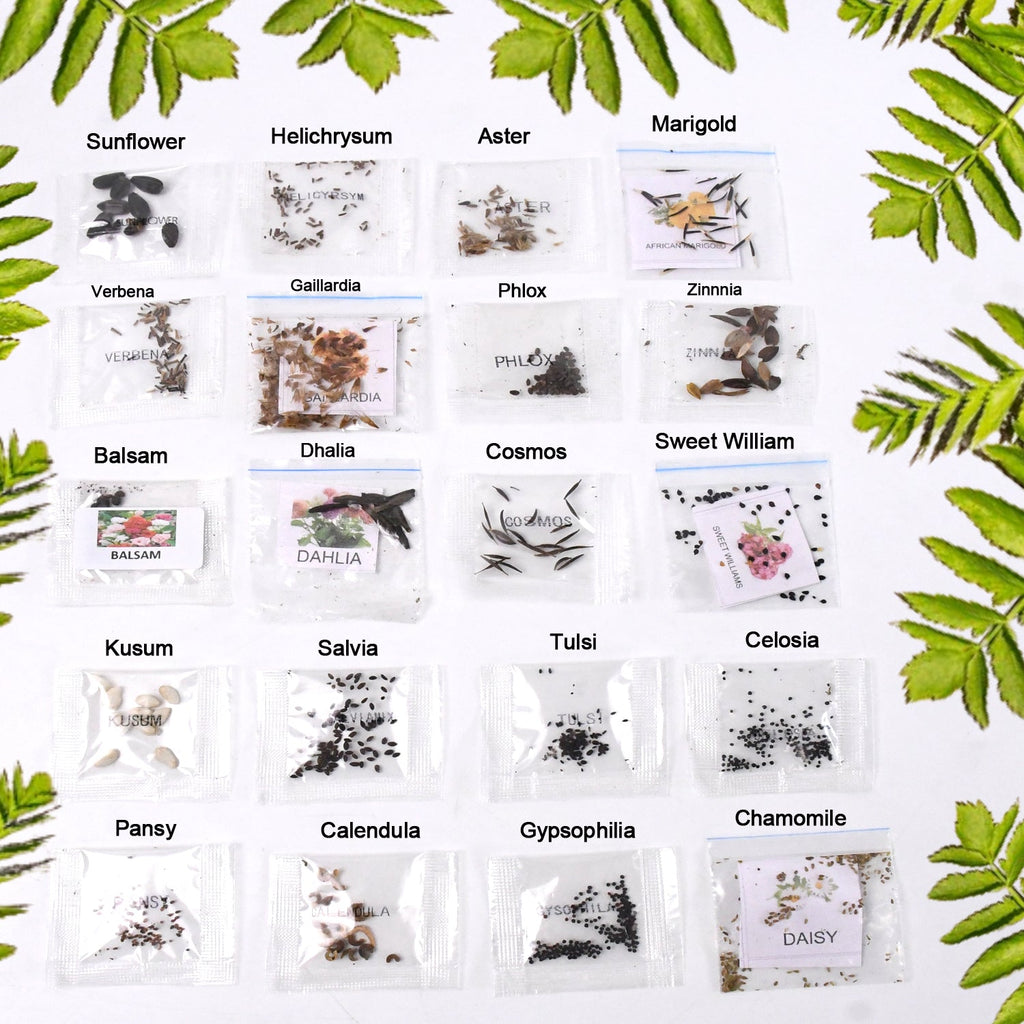flower seed seed identification chart Seeds 20 Varieties of Flower Seeds Combo (1 Pkt / 20 Varieties) – avenzohub.com