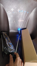 Colorful Multi Led Outdoor Solar Garden Lights (2 Pcs Set)
